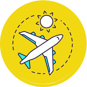 Standard Plan Icon